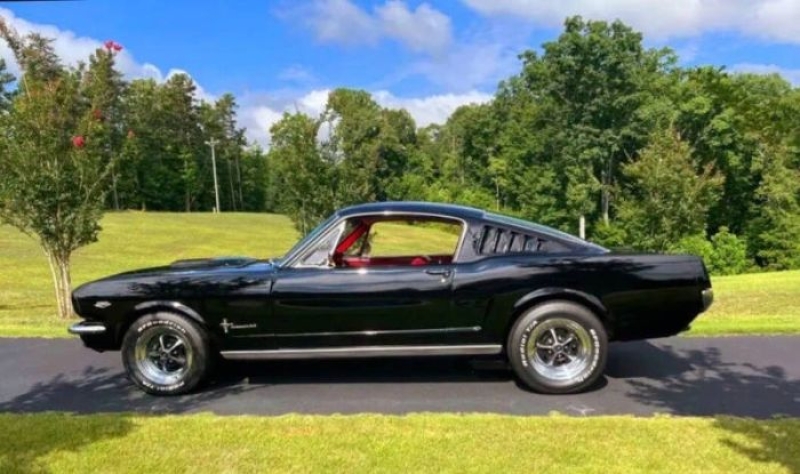 1965 Ford Mustang for sale in Michigan (ID-136322)