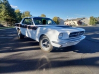 1965 Ford Mustang for sale in Michigan (ID-137284)