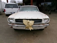 1965 Ford Mustang for sale in Michigan (ID-137533)
