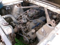 1965 Ford Mustang for sale in Michigan (ID-137533)