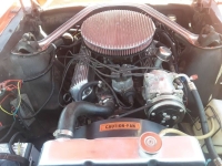 1965 Ford Mustang for sale in Michigan (ID-137984)