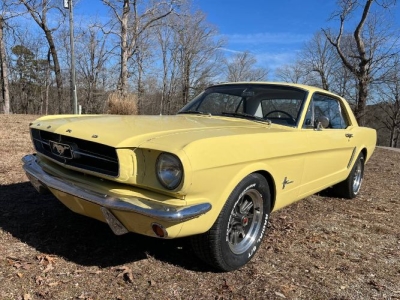 1965 Ford Mustang for sale