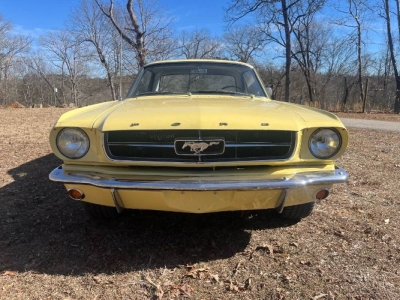 1965 Ford Mustang for sale