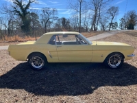 1965 Ford Mustang for sale in Michigan (ID-138579)