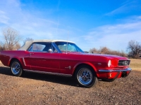 1965 Ford Mustang for sale in Michigan (ID-138958)