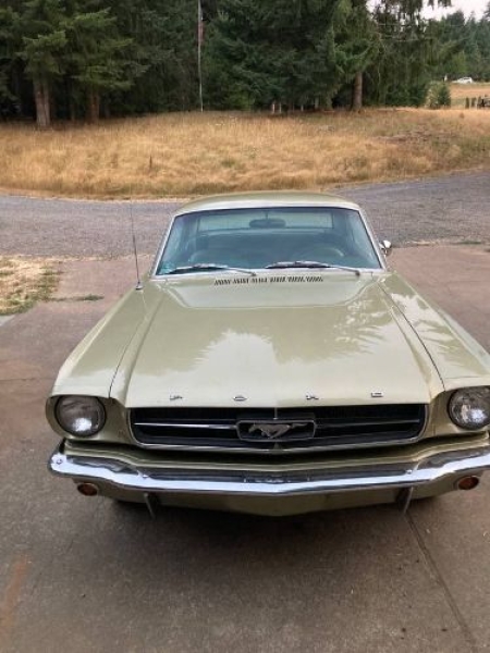 1965 Ford Mustang for sale in Michigan (ID-140467)