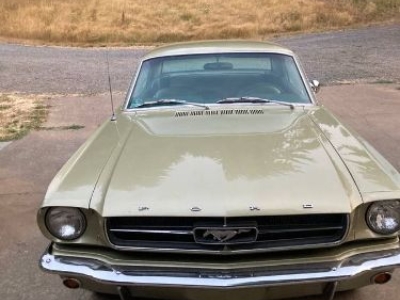 1965 Ford Mustang for sale