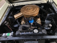 1965 Ford Mustang for sale in Michigan (ID-140467)