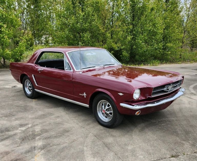 1965 Ford Mustang for sale (ID-116376)