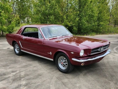 1965 Ford Mustang for sale