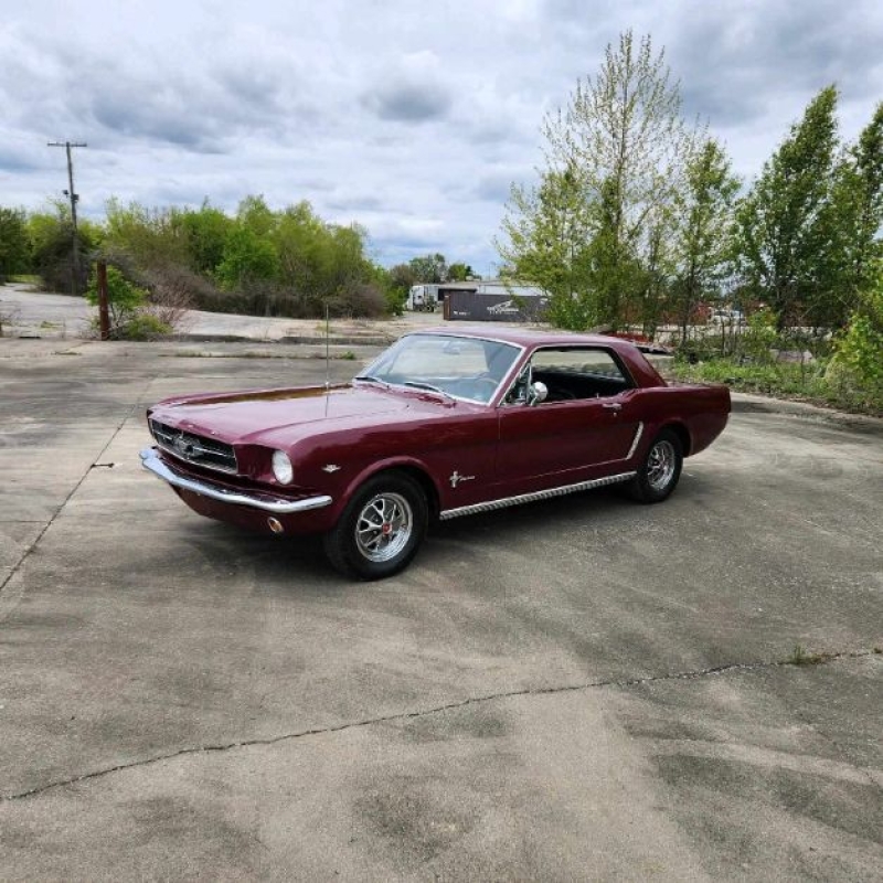 1965 Ford Mustang for sale (ID-116376)