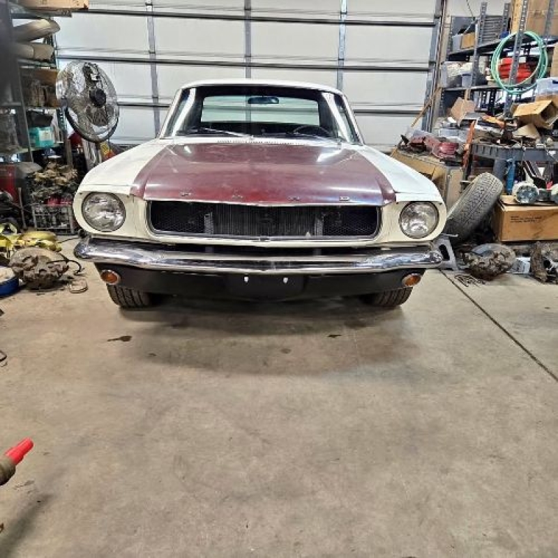 1965 Ford Mustang for sale in Michigan (ID-141103)