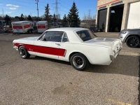 1965 Ford Mustang for sale in Michigan (ID-141319)