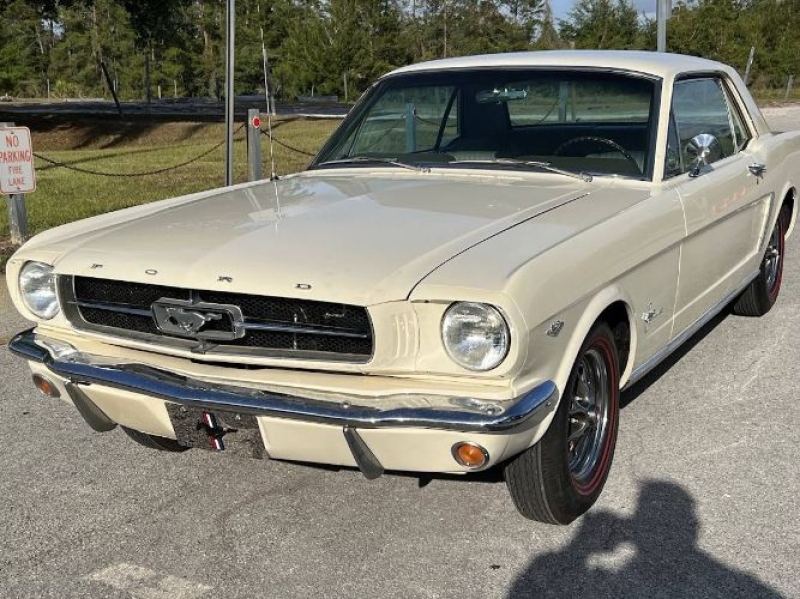 1965 Ford Mustang for sale in Michigan (ID-141785)