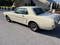 1965 Ford Mustang for sale in Michigan (ID-141785)