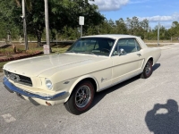 1965 Ford Mustang for sale in Michigan (ID-141785)