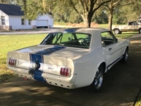 1965 Ford Mustang for sale in Michigan (ID-142179)