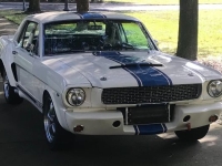 1965 Ford Mustang for sale in Michigan (ID-142179)