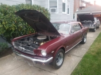 1965 Ford Mustang for sale in Michigan (ID-144431)