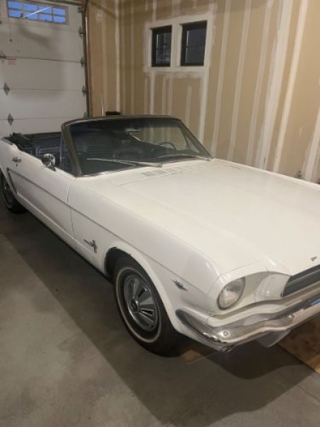 1965 Ford Mustang for sale in Michigan (ID-144737)