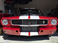 1965 Ford Mustang for sale in Michigan (ID-145480)