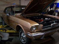 1965 Ford Mustang for sale in Michigan (ID-161108)