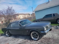 1965 Ford Mustang for sale in Michigan (ID-161397)