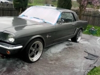 1965 Ford Mustang for sale in Michigan (ID-161397)