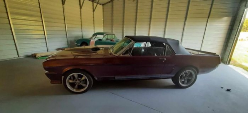 1965 Ford Mustang for sale in Michigan (ID-162369)