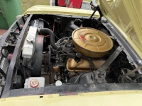 1965 Ford Mustang for sale in Michigan (ID-163586)