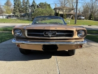 1965 Ford Mustang for sale in Michigan (ID-163740)