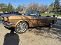 1965 Ford Mustang for sale in Michigan (ID-163740)