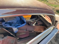 1965 Ford Mustang for sale in Michigan (ID-164299)