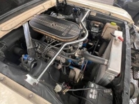 1965 Ford Mustang GT for sale in Michigan (ID-163668)