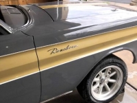 1965 Ford Ranchero for sale in Michigan (ID-110481)