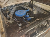 1965 Ford Ranchero for sale in Michigan (ID-123453)