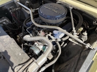 1965 Ford Ranchero for sale in Michigan (ID-162433)