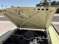 1965 Ford Ranchero for sale in Michigan (ID-162433)