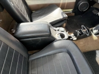 1965 Ford Ranchero for sale in Michigan (ID-162433)