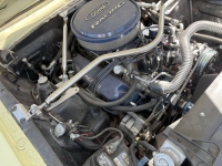 1965 Ford Ranchero for sale in Michigan (ID-162433)