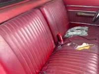 1965 Ford Ranchero for sale in Michigan (ID-163937)