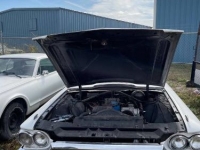 1965 Ford Thunderbird for sale in Michigan (ID-112443)