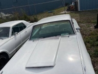 1965 Ford Thunderbird for sale in Michigan (ID-112443)