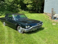 1965 Ford Thunderbird for sale in Michigan (ID-120013)