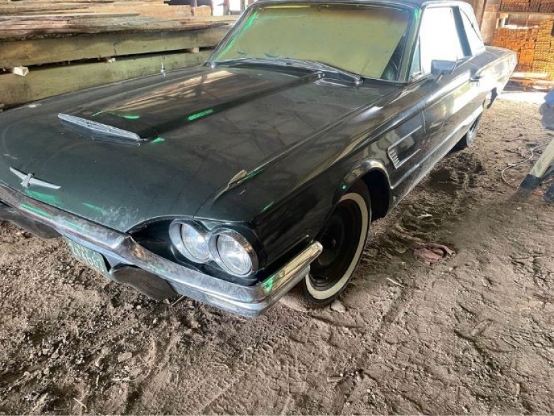 1965 Ford Thunderbird for sale in Michigan (ID-126028)