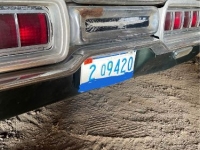 1965 Ford Thunderbird for sale in Michigan (ID-126028)