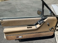 1965 Ford Thunderbird for sale in Michigan (ID-130351)