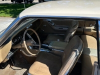 1965 Ford Thunderbird for sale in Michigan (ID-130351)