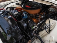 1965 Ford Thunderbird for sale in Riverhead, New York (ID-131191)