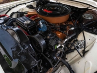 1965 Ford Thunderbird for sale (ID-132677)